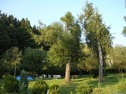Pohled zahrada Poláček